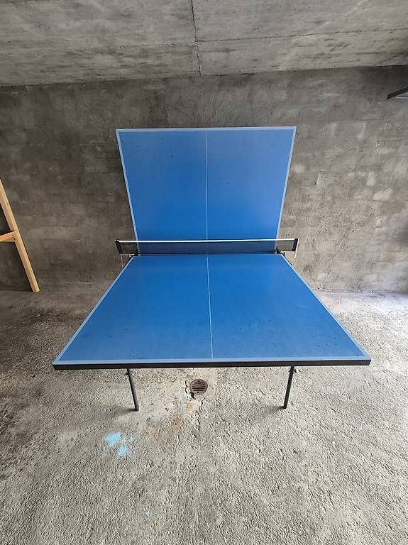 Tennis de table: Tischtennistisch – D'occasion à Flüelen par mrcharliebrown