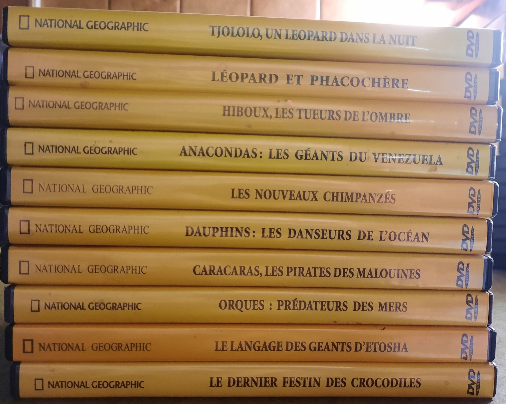 Tutti i DVDs: Collection DVD National geographic/DVD1 – Usato da Préverenges venduto da mam_629h 2