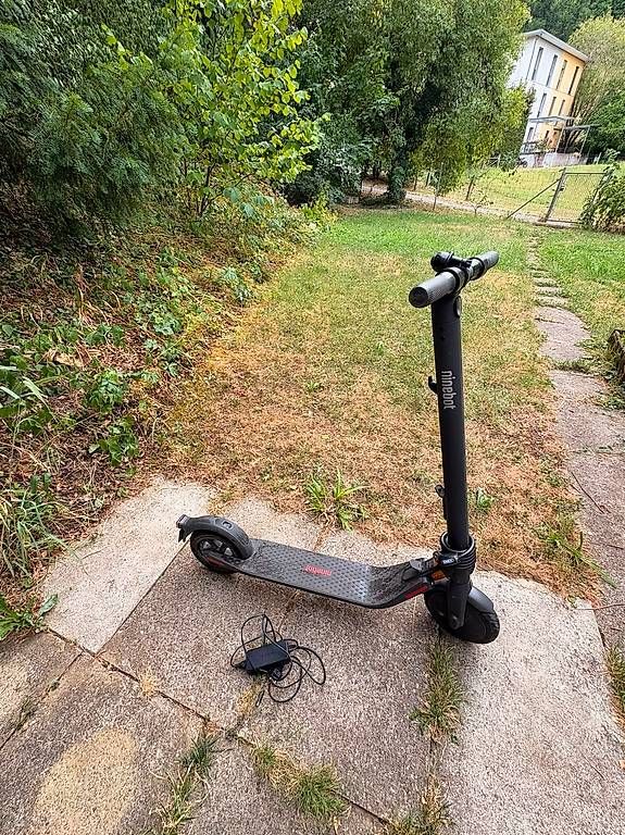 Kickboard: Segway eKickScooter Ninebot E22 D – D'occasion à Zürich par Kurtbeuggert 2