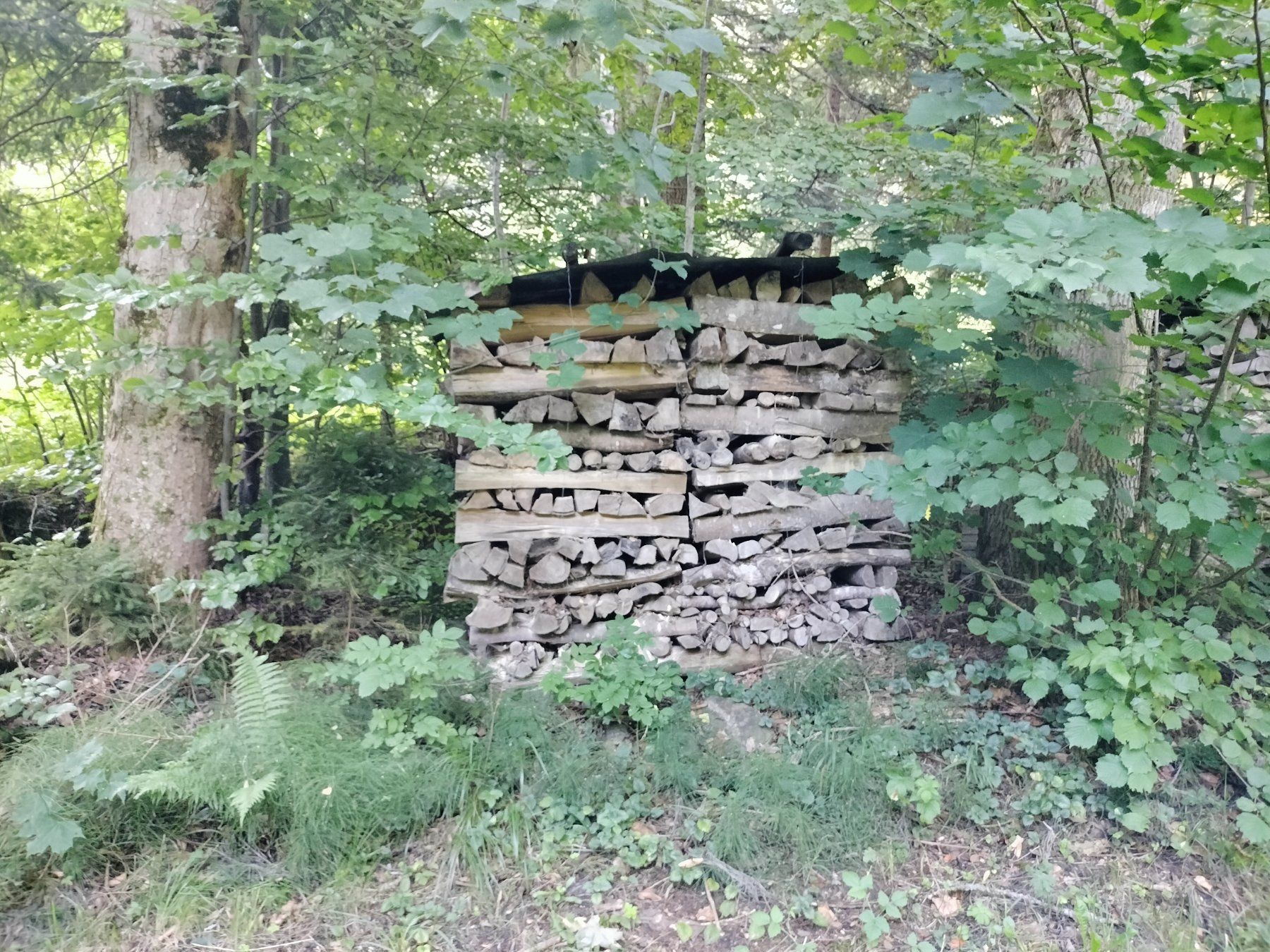 Articoli in legno: Brennholz- Meter-Scheiter vorwiegend Buche – Nuovo (secondo la descrizione) da Jona venduto da nik_dwg2 2