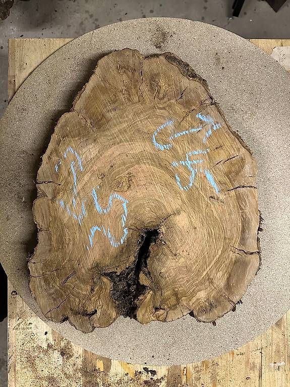 Articoli in legno: Olivenholz Baumscheibe - 08 – Usato da Buus venduto da macipioji 1