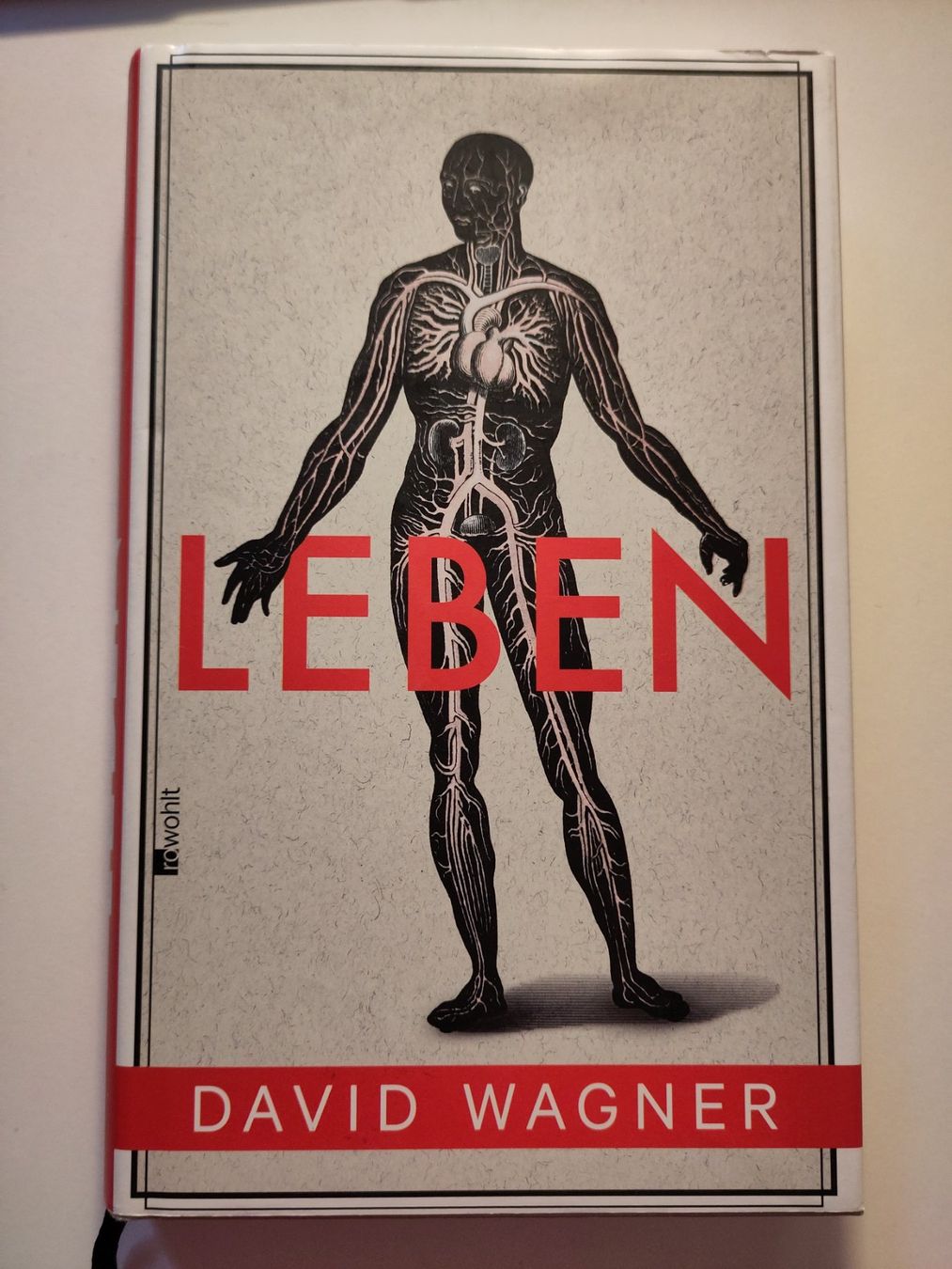 Bücher: Leben - David Wagner – Gebraucht aus Bülach von Tiefschlaflos