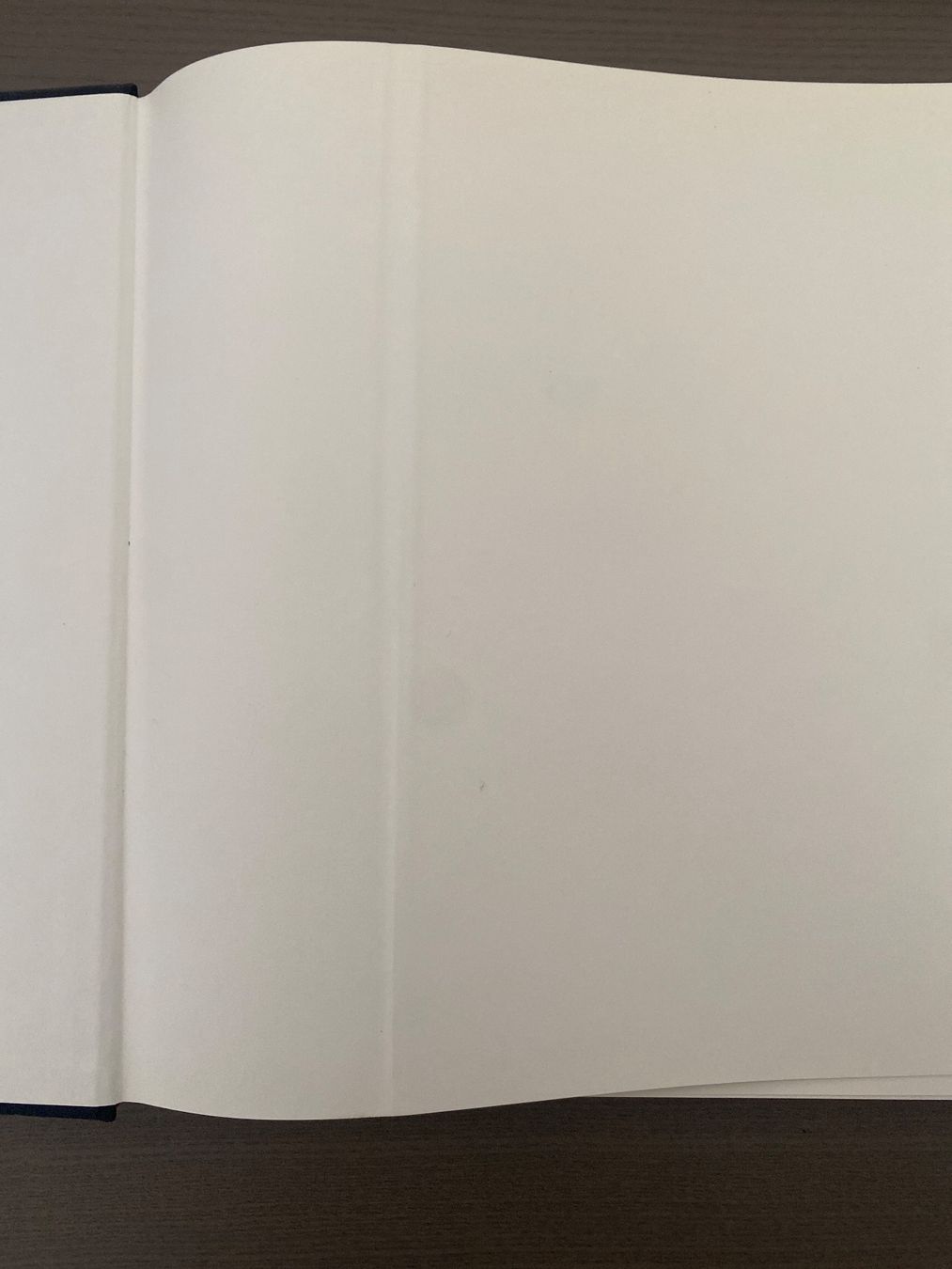 Bücher: Buch "Hundertwasser" – Gebraucht aus Reichenburg von Noxima 1