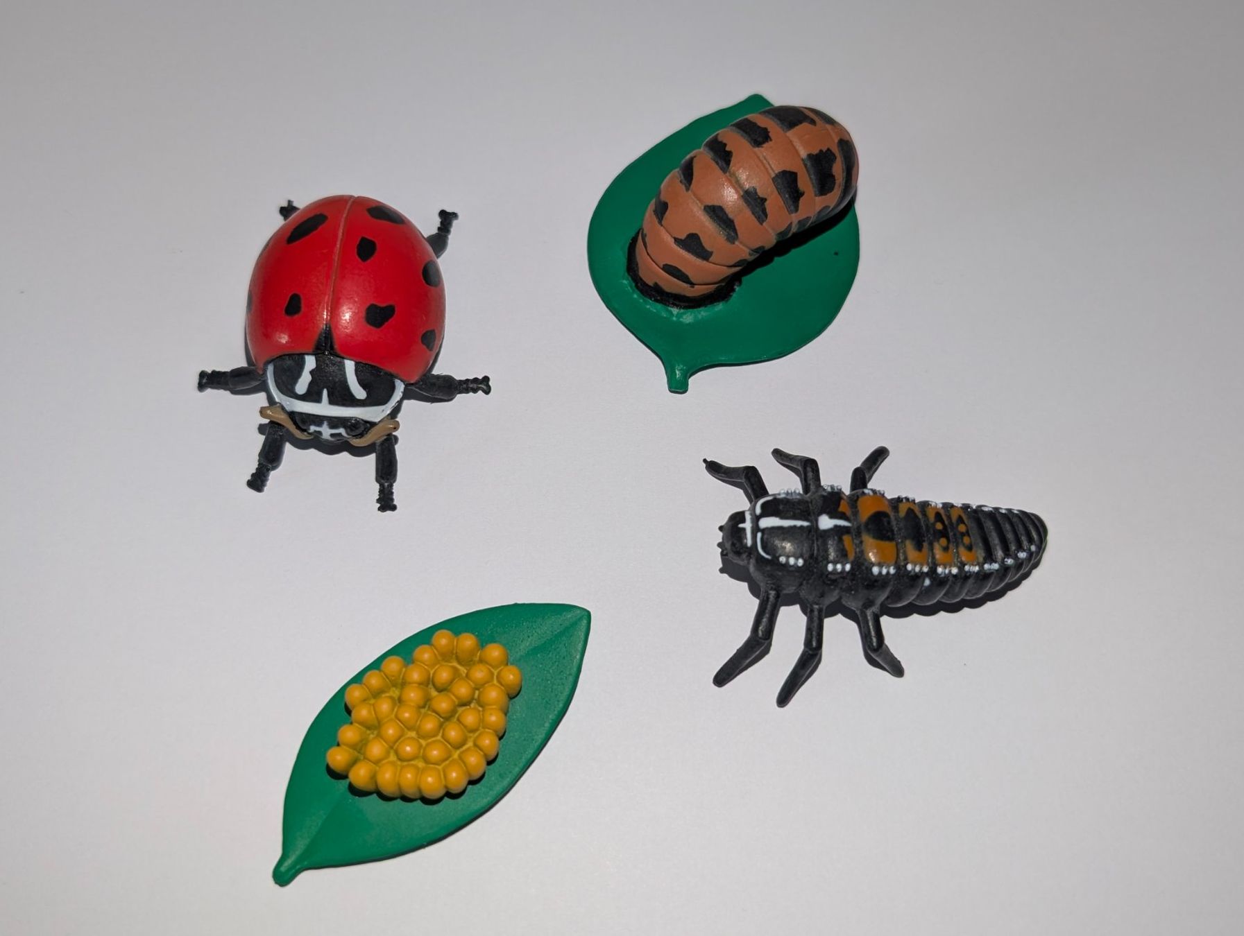 Figuren: Lebenszyklus Marienkäfer – Gebraucht aus Weite von Nur63