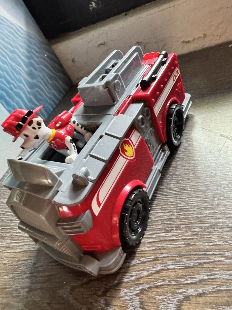 Giocattoli: Paw Patrol Marshall – Usato da Steffisburg venduto da ek_250