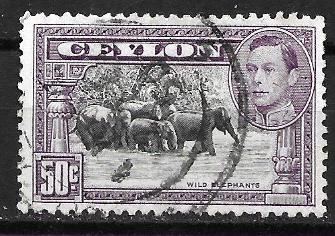 Tutti i francobolli: Ceylon 1938: Elefanten – Usato da Zürich venduto da Rainstamps