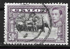 Ceylon 1938: Elefanten