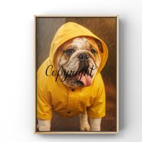 Bulldogge im Regen A4 Kunstfoto zum Einrahmen
