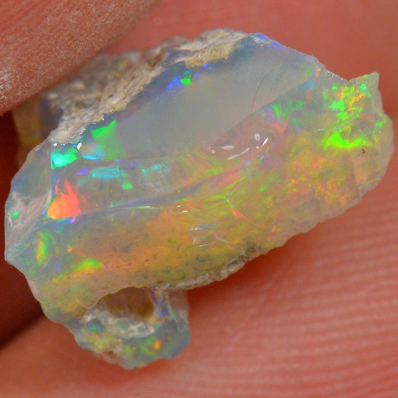 Pierres précieuses: 4.4 Karat - Roher Äthiopischer Welo Opal – Neuf (Voir description) à Rüti ZH par DeinOpal 1