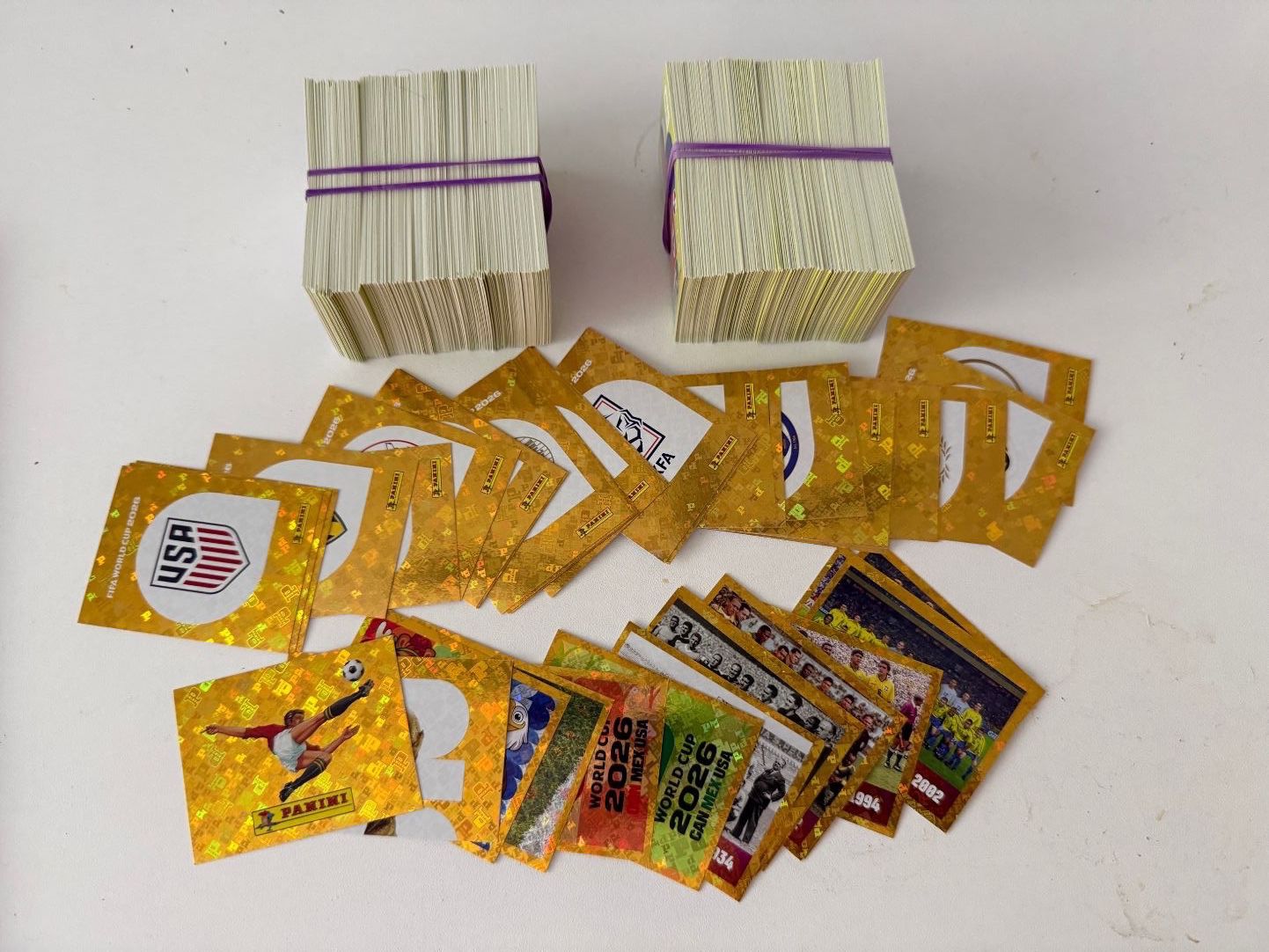 Panini Carte collezionabili: Panini FIFA WORLD CUP 2026 /  633 STICKERS – Nuovo (secondo la descrizione) da Confignon venduto da minos30 1