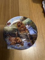 Sammler Wandteller "Ein hilfreicher Freund", Top Zustand!