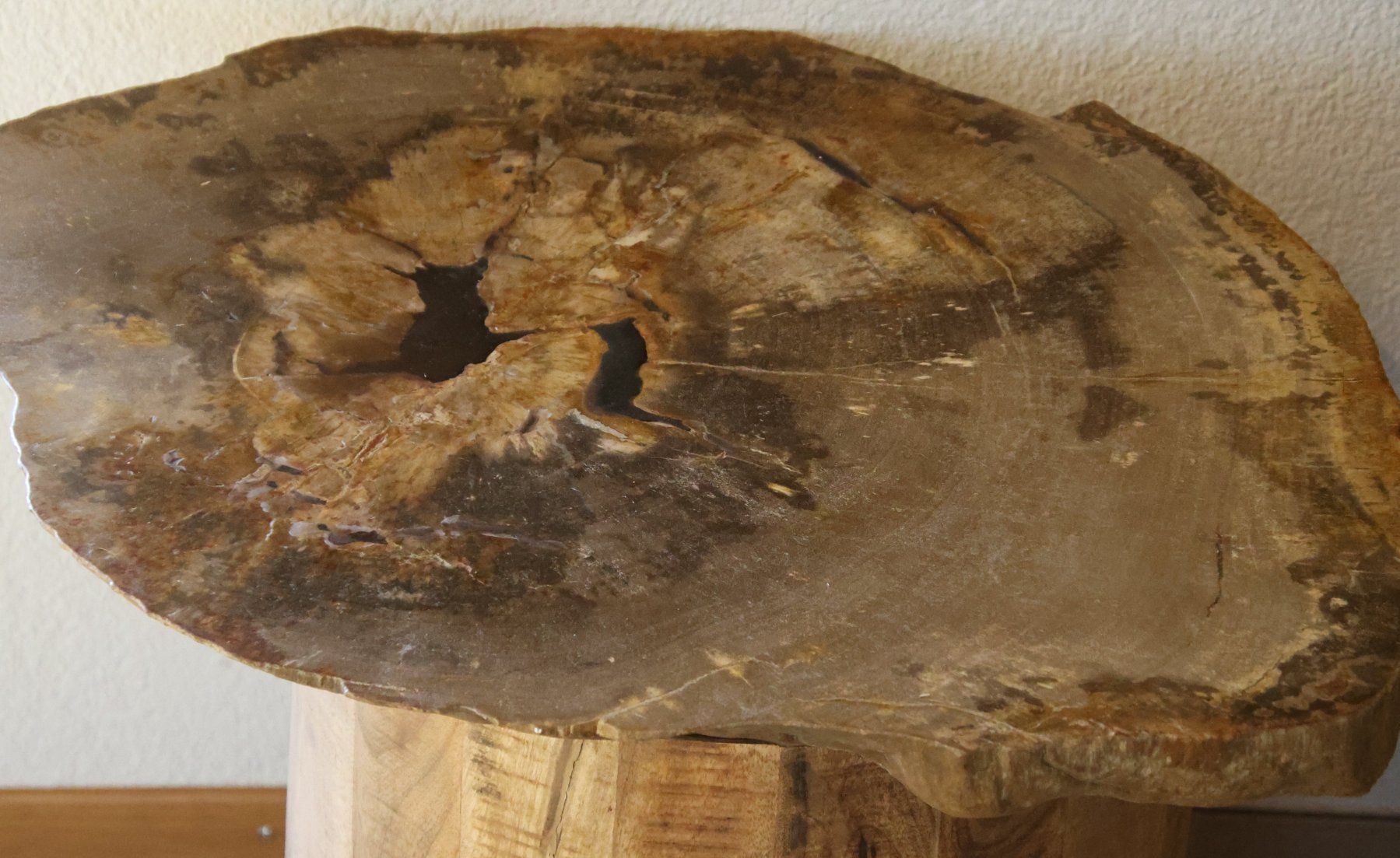 Tavoli: Versteinerte Tischplatte mit Holzsockel – Usato da Diegten venduto da dolphin04 1
