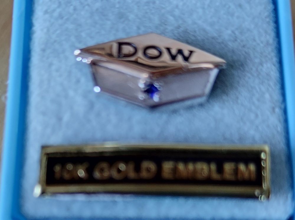 DOW Anstecknadel 10K Gold Emblem mit Steinchen | Kaufen auf Ricardo