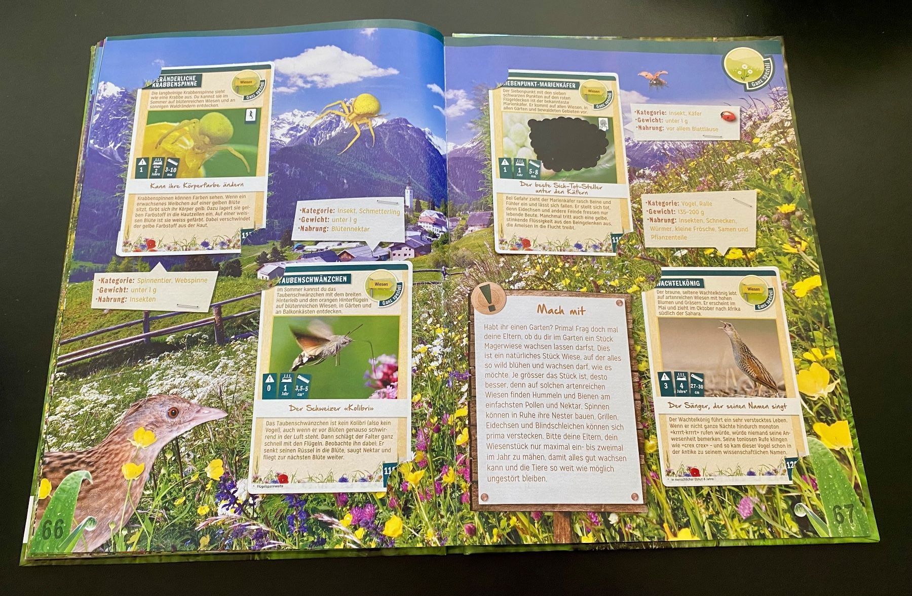 Libri: Abenteuer Natur / Coop / WWF – Usato da Nussbaumen AG venduto da schuba2000 6