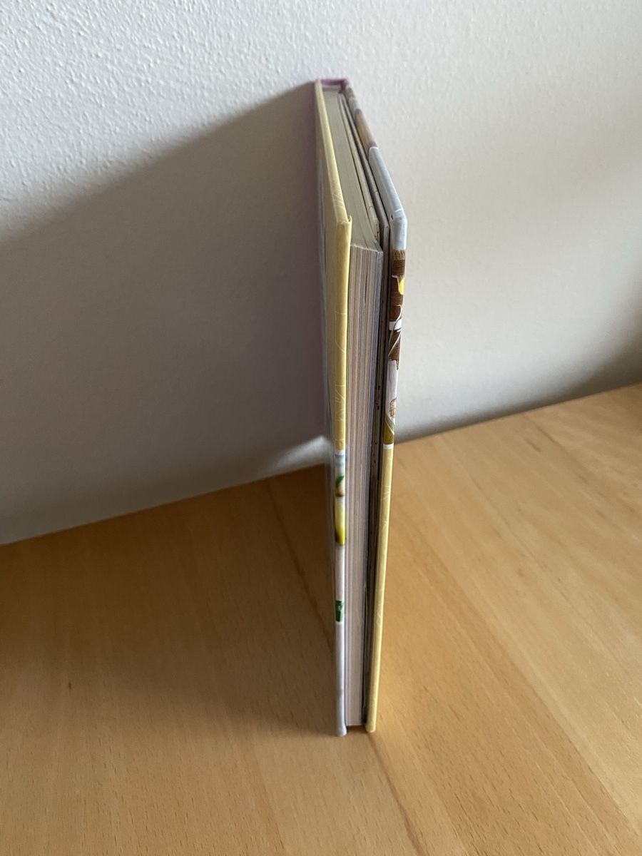 Libri: Alles selbst genäht mit Schnittmusterbogen in Originalgrösse – Usato da Schwarzenburg venduto da Michellu 3