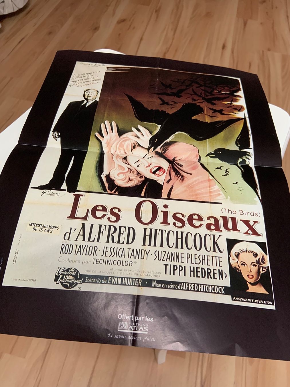 Tutti i VHS: Cassette VHS les oiseaux + posters – Usato da Ecublens VD venduto da timily 1