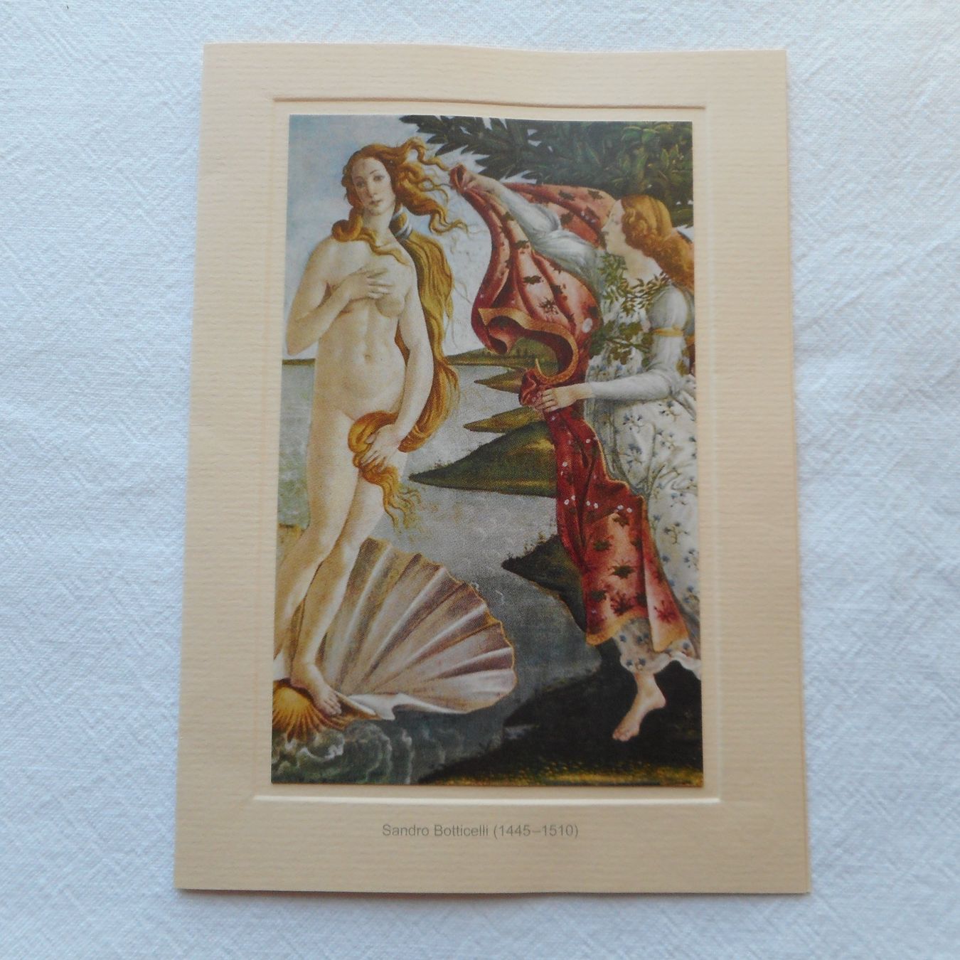 Cartoline postali: Kunstkarte - Sandro Botticelli – Nuovo e nell'imballaggio originale da Niederlenz venduto da Berghem