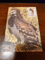 Carte postale aigle Bophuthatswana, Afrique du Sud, rare!