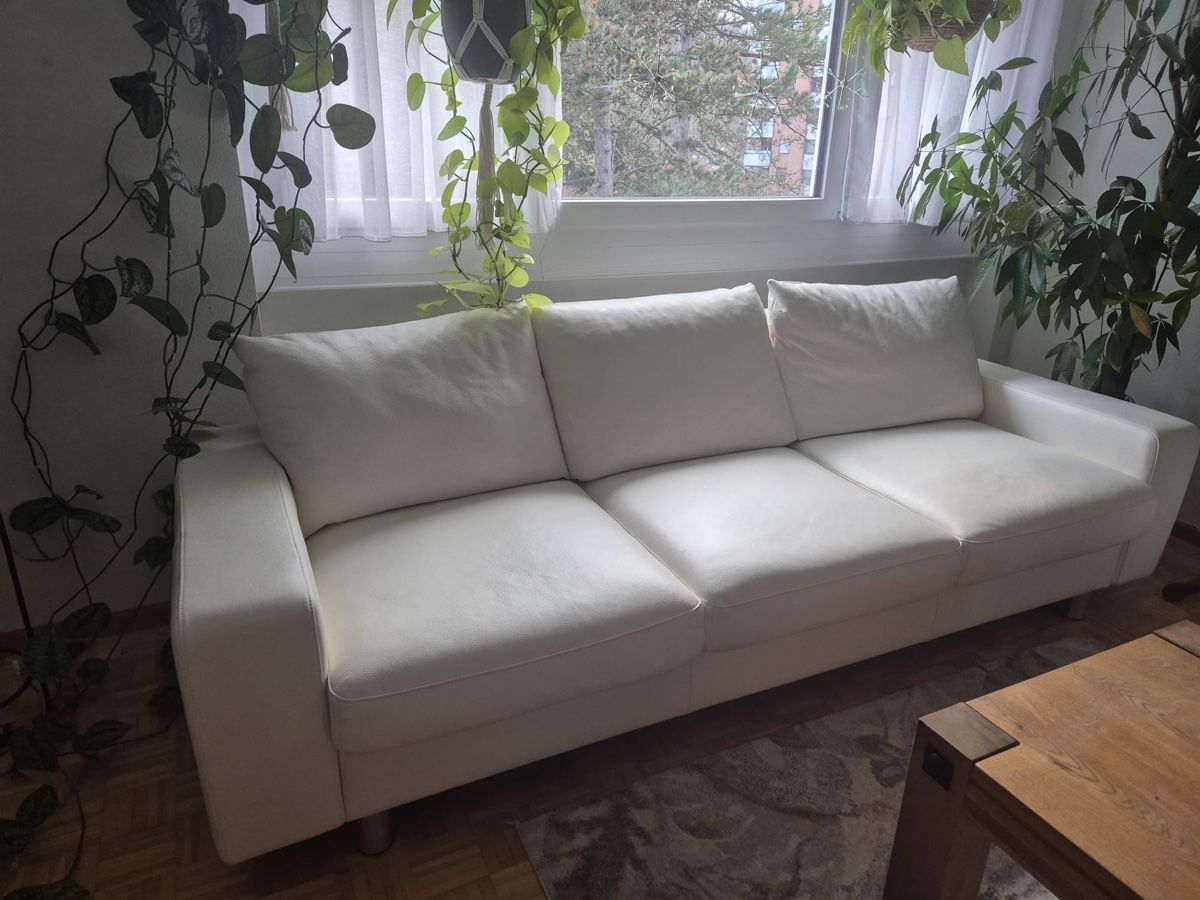 Pfister Divani: Zwei mal Ledersofas weiß perlen – Usato da Muttenz venduto da d.maxim 3
