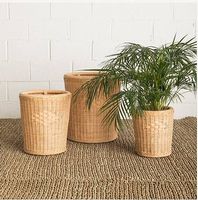 Set aus 4 Rattan Pflanzenbehältern (neu, auch einzeln)