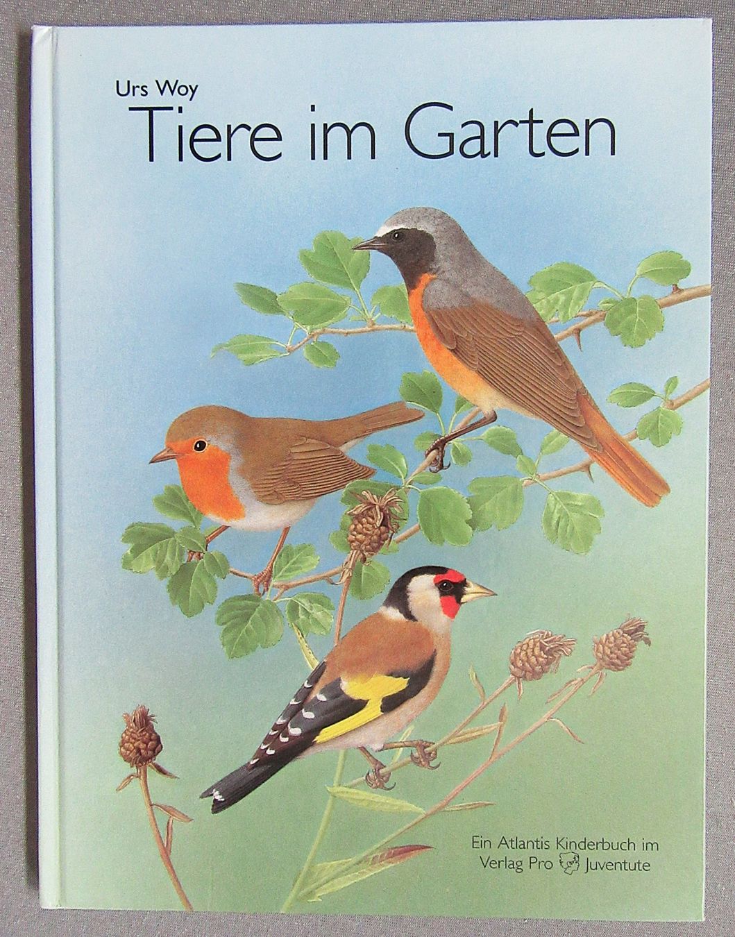 Livres: Tiere im Garten - ein Atlantis Kinderbuch – D'occasion à Auenstein par Padabimbim