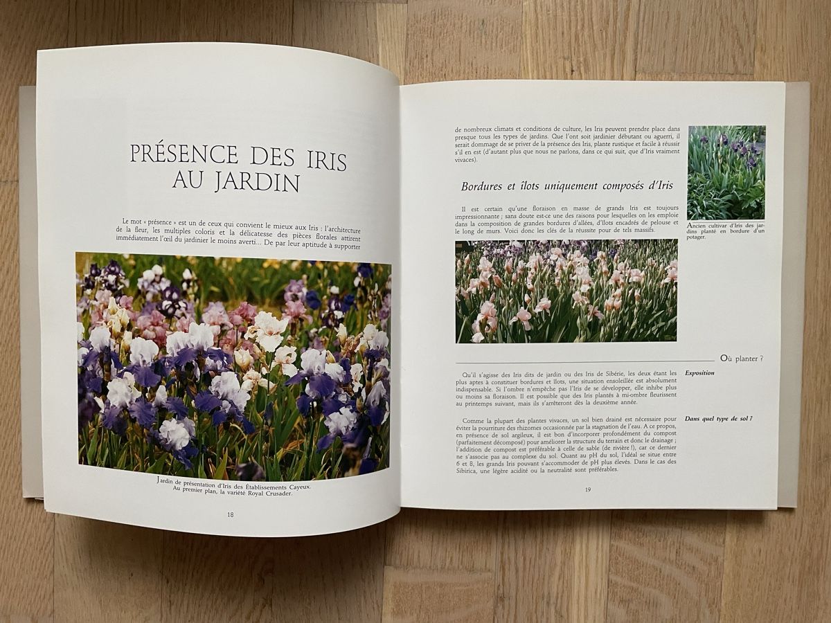 Libri: Bildband Blumen: L‘iris - une fleur royale – Usato da Brütten venduto da Snowkiwi 2