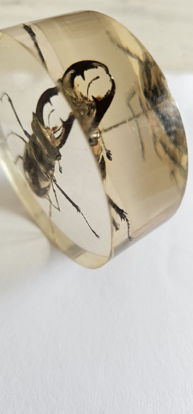 Il mondo degli animali: Insecte dans la résine – Usato da Yverdon-les-Bains venduto da van_dq65 7