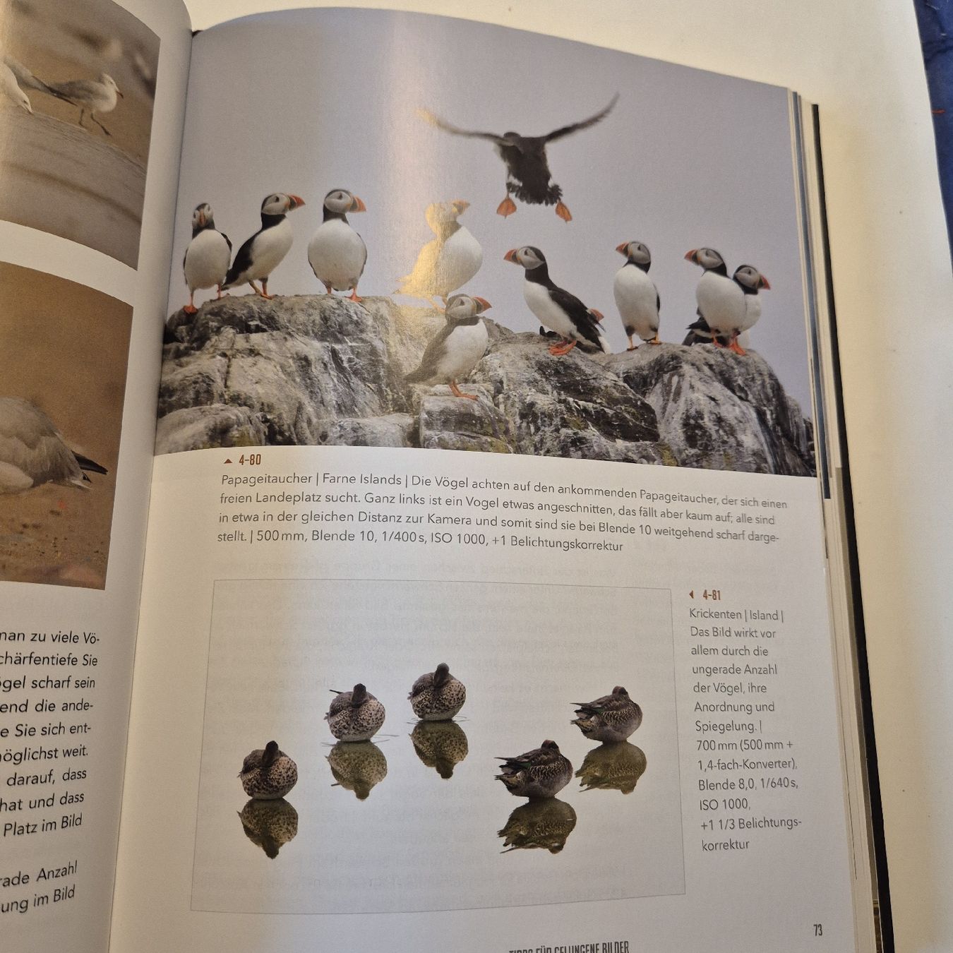 Libri: Faszination Vogelfotografie – Nuovo (secondo la descrizione) da Weinfelden venduto da piadesha 5