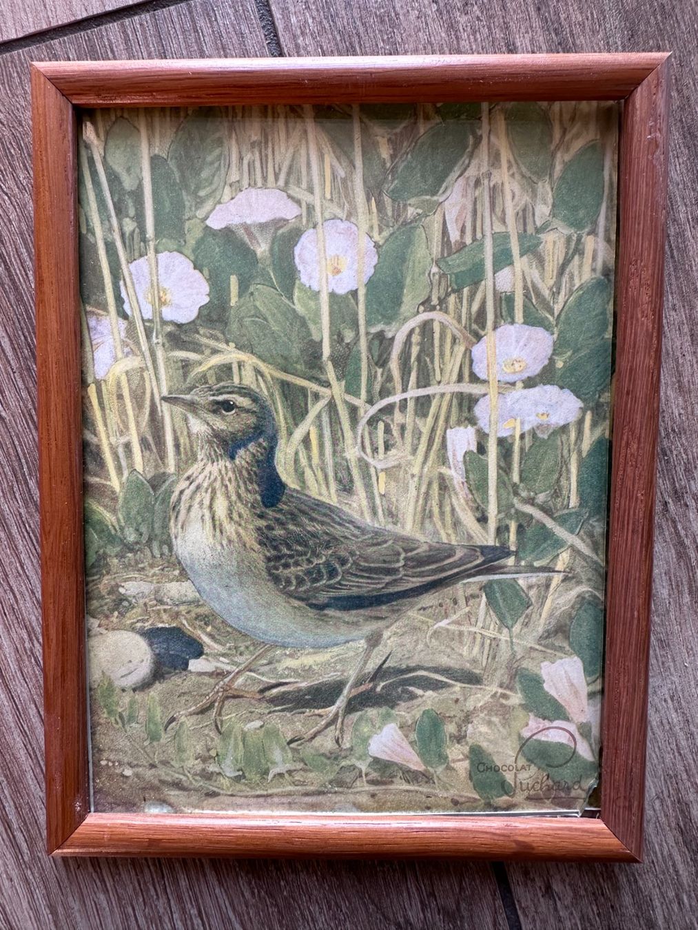 Dipinti: Lot de 4 tableaux avec oiseaux – Usato da Châtillon FR venduto da Karine1453 2