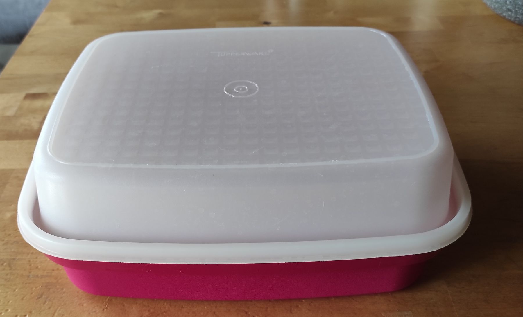 Tupperware Contenitori & Simili: Fleischmarinierer/ Box Tupperware 🍀 – Usato da Steinerberg venduto da Minka10