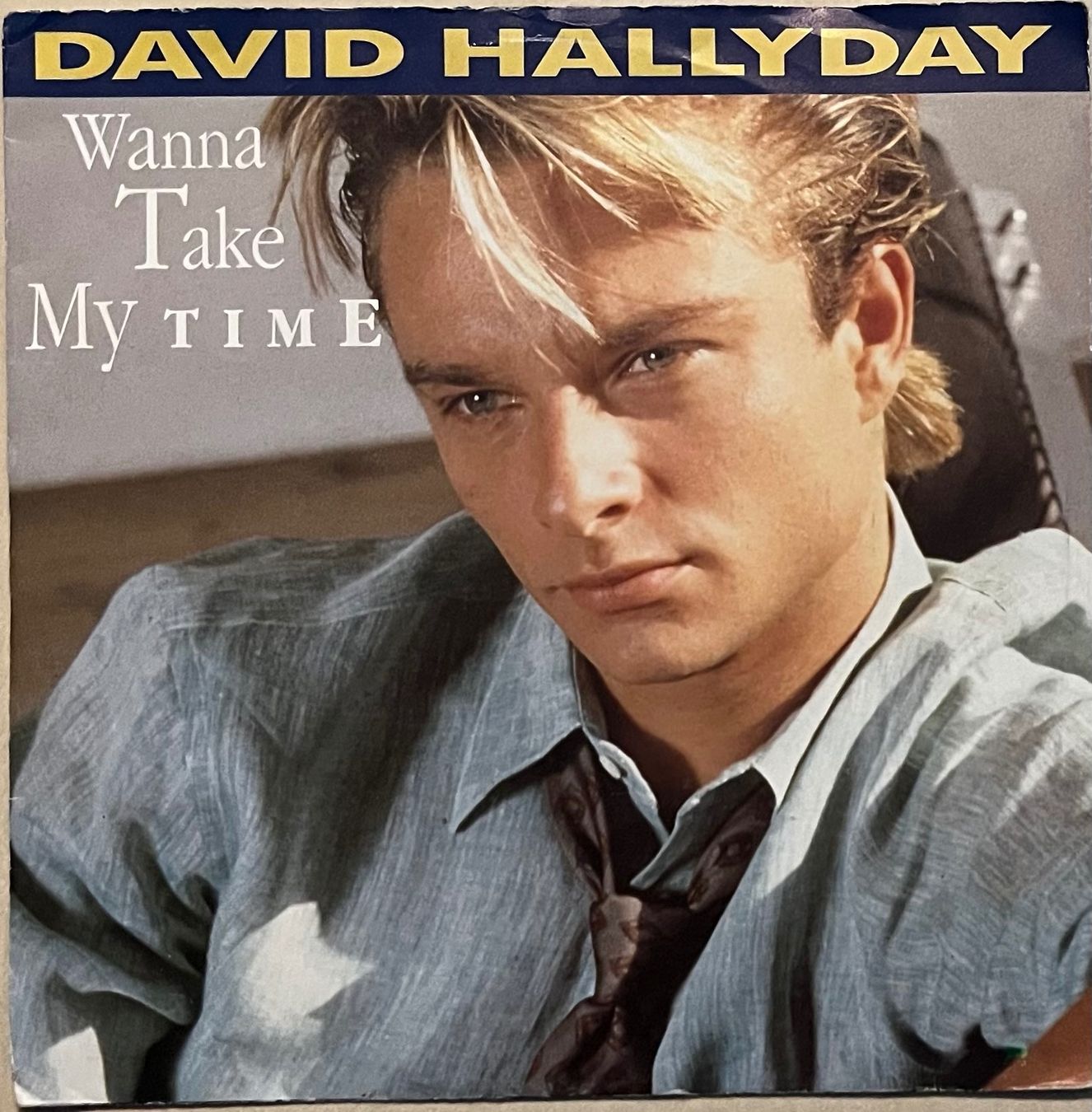 Dischi in vinile: DAVID HALLYDAY - WANNA TAKE MY TIME – Usato da Bussigny venduto da vinyl-pas-cher