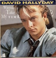 DAVID HALLYDAY - WANNA TAKE MY TIME