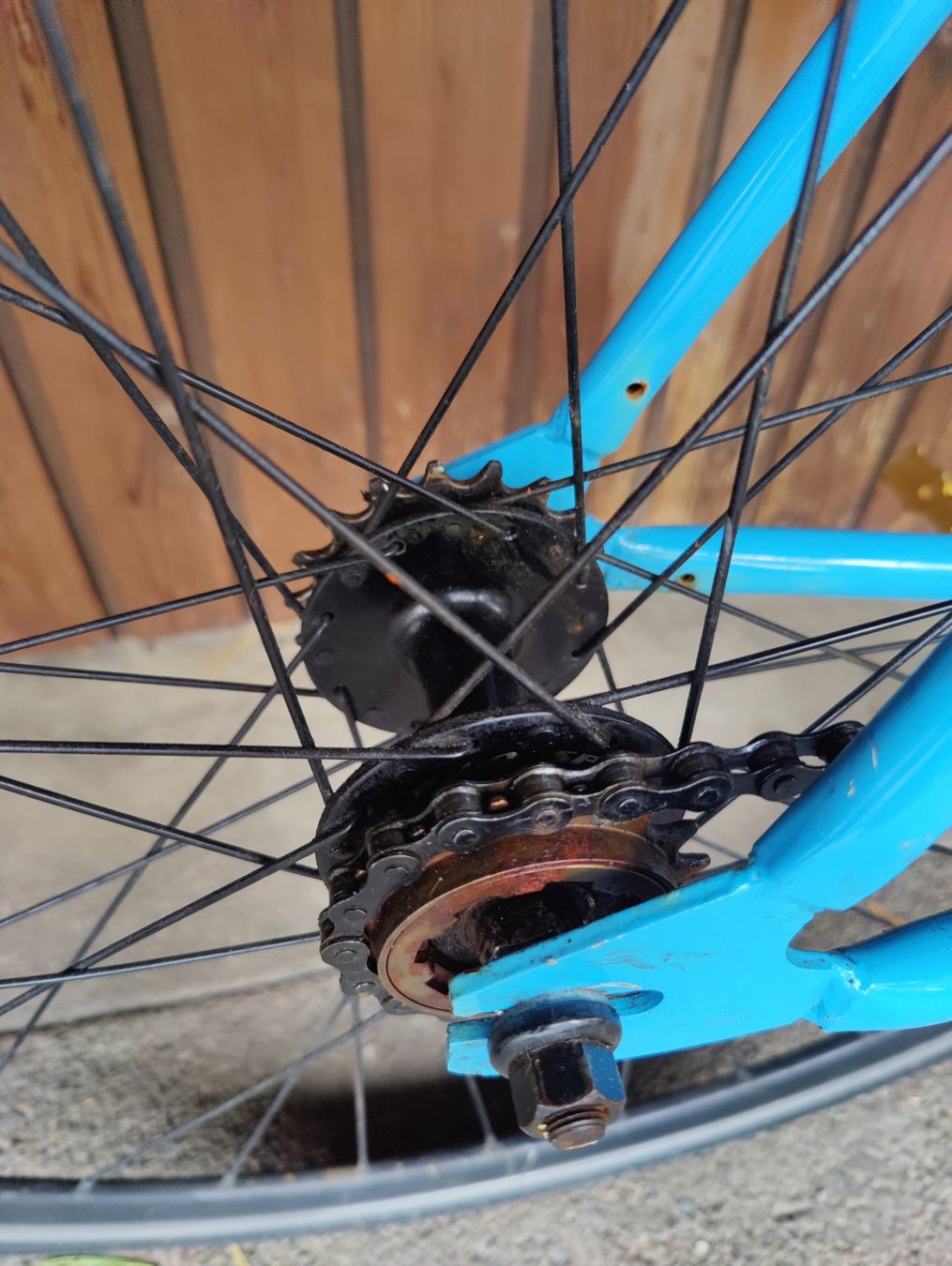 Totem Biciclette: Totem single speed(mit Freilauf) – Usato da Pfungen venduto da kri_hs5k 2
