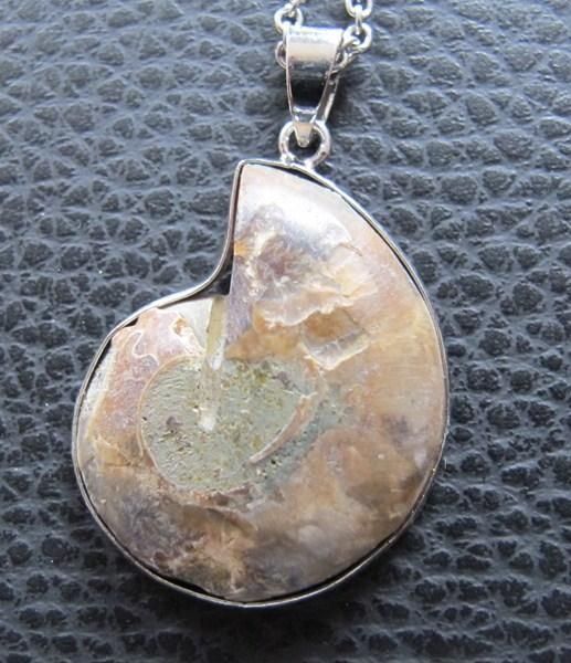Ciondoli: Anhänger Ammonit Fossil mit Kette – Nuovo (secondo la descrizione) da Schwanden GL venduto da UHRKNALL 2