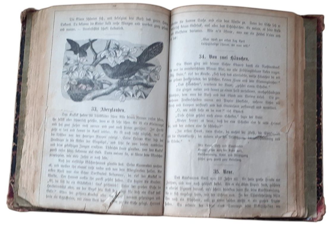 Libri: J. Staub Kinderbuch 1880 – Usato da Mörschwil venduto da lindaswunderkiste 4