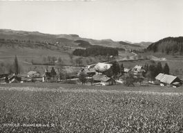 Buholz Weiler bei Ruswil LU ca. 1960  sehr gut erhalten