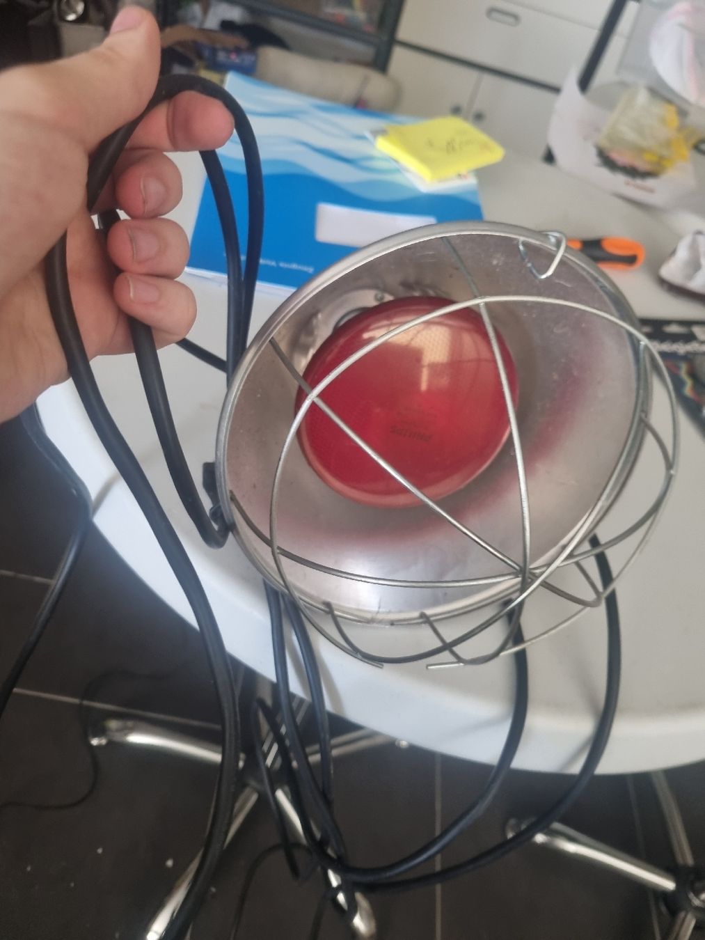 Heizgeräte: Wärme Lampe  – Gebraucht aus Gebenstorf von Noahackermann2003