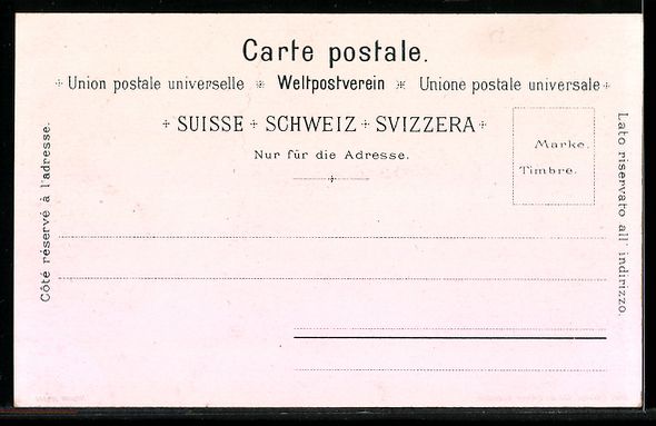 Cartes postales: Litho Lausanne, Panorama sur le lac – D'occasion à Berlin par bartko-reher 1