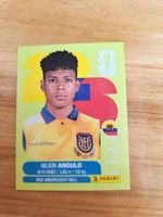 Panini FIFA World Cup ECU 17