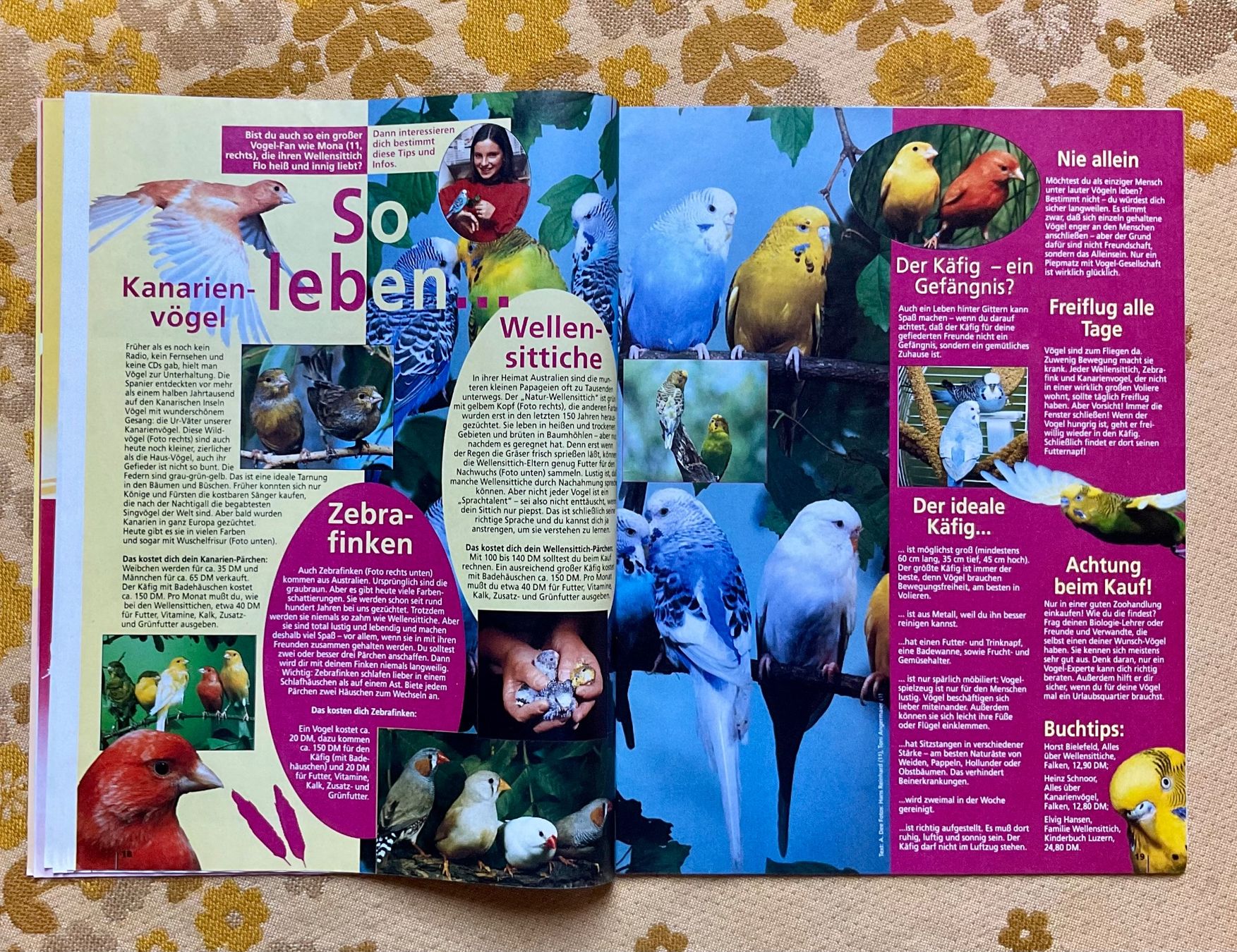 Comics: Minnie Maus Heft von 1995 – Gebraucht aus Endingen von nathan05 4