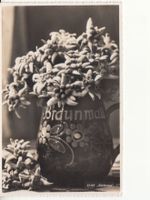 Motivkarte Edelweiss ca. 1940