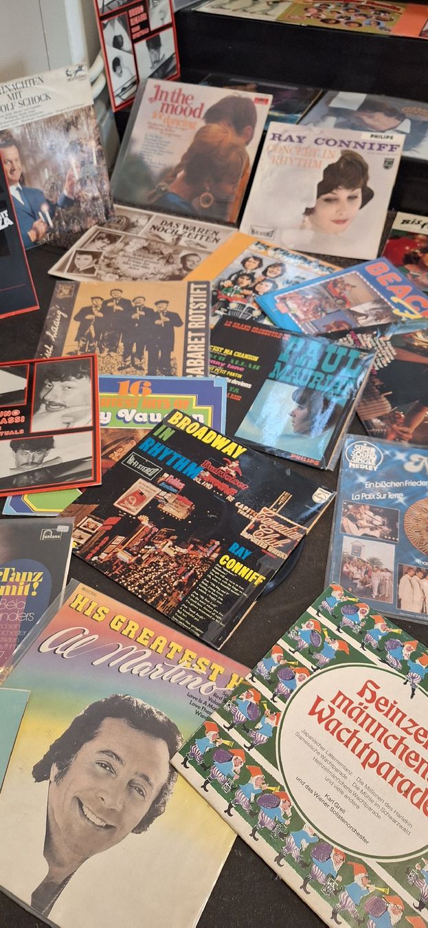 Schallplatten: Schallplatten Sammlung - Diverse Interpreten - Vinyl LP's🎯 – Gebraucht aus Emmenbrücke von abu_9mj8 6