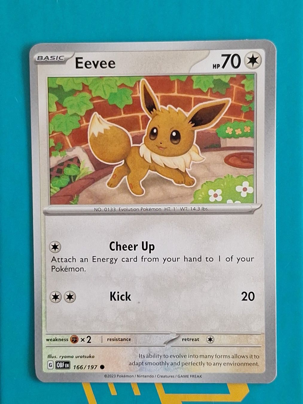 Pokémon Carte collezionabili: Eevee Evoli - Pokemon Obsidian Flames – Usato da Altstätten SG venduto da GGsGameshop
