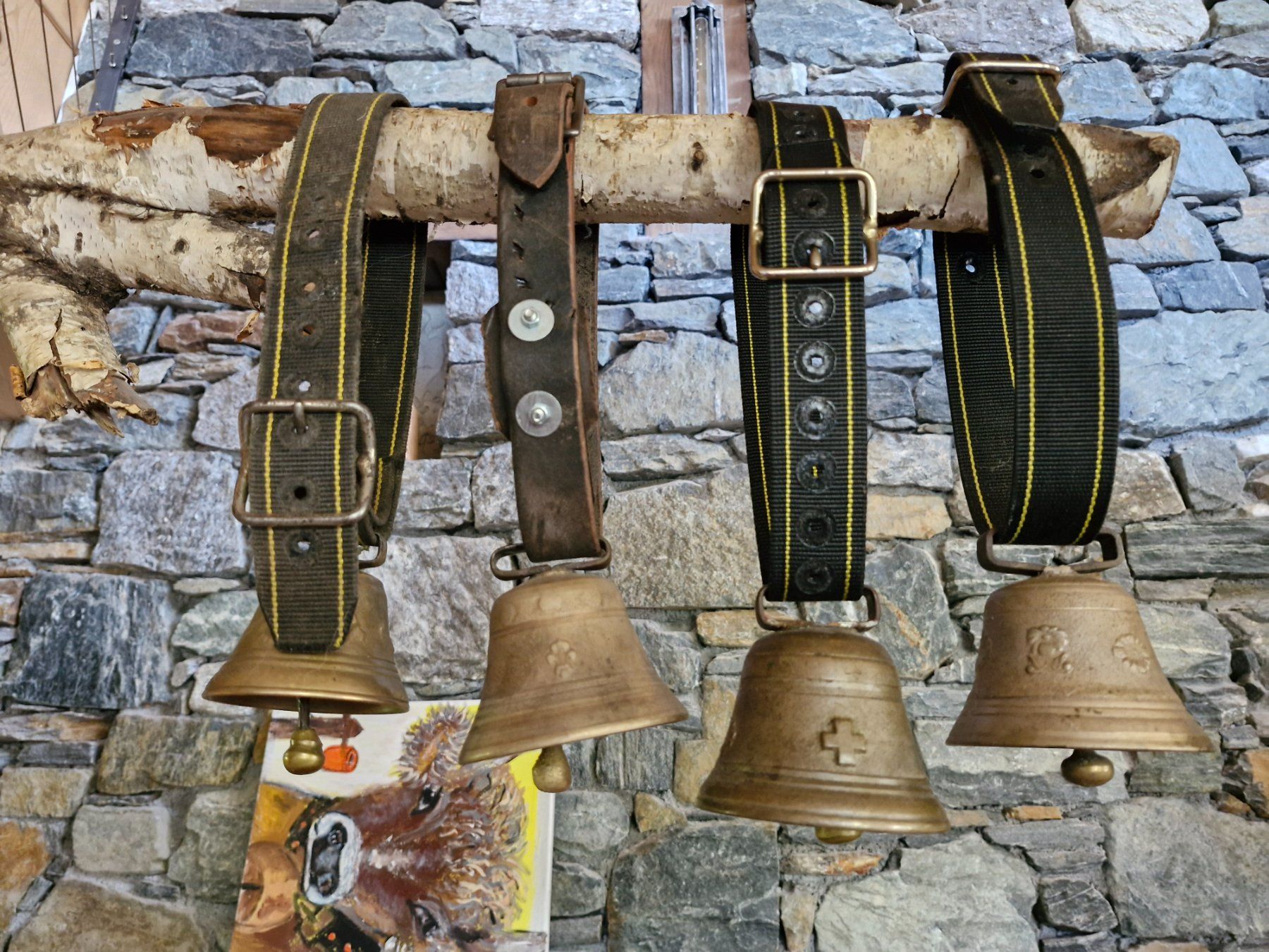 Campanacci mucche: Glocken Treicheln – Usato da Guarda venduto da rue_bpd7 1