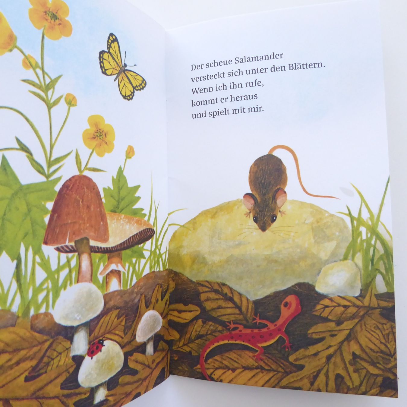 Libri: Ich bin die kleine Maus – Usato da Basel venduto da Kunterbunt12 3