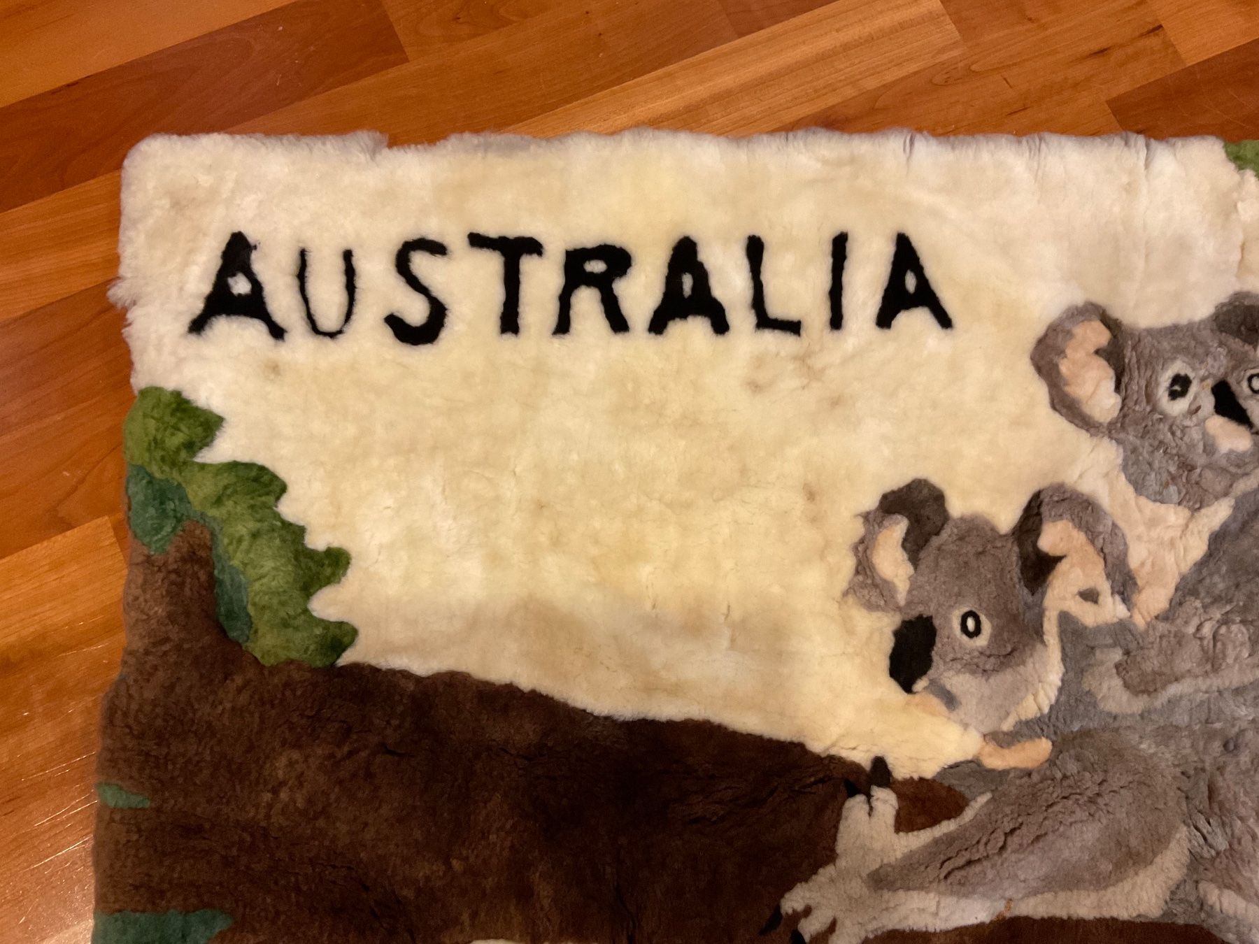 Foto & Immagini: Fell Bild aus Australien Koalabär – Usato da Rümlang venduto da SchumBru10 2
