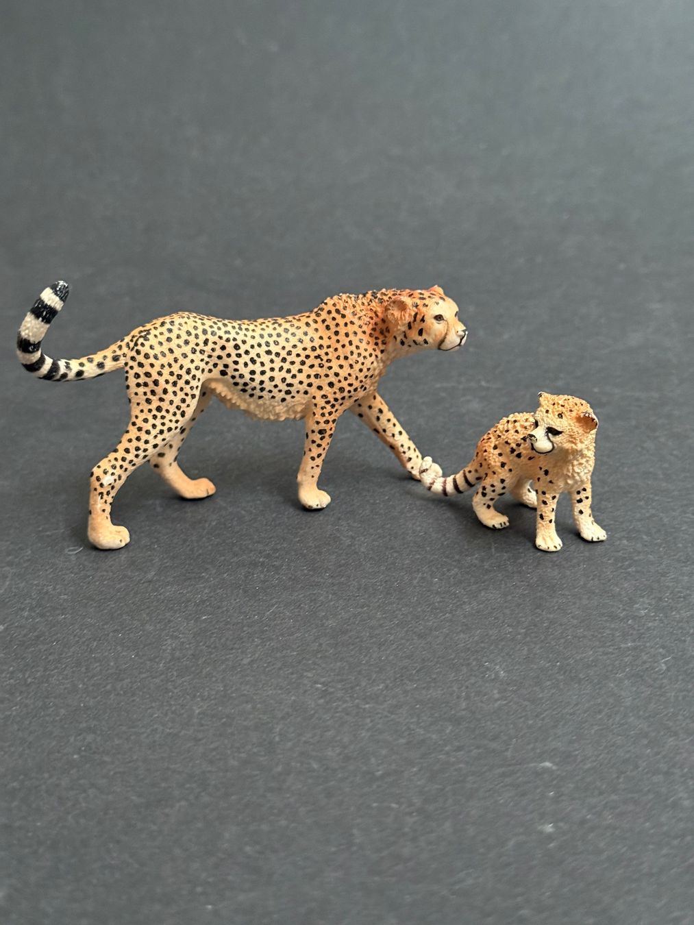 Schleich Statuette: Schleich Gepard mit Gepardenbaby – Usato da Ennetbaden venduto da mapa05