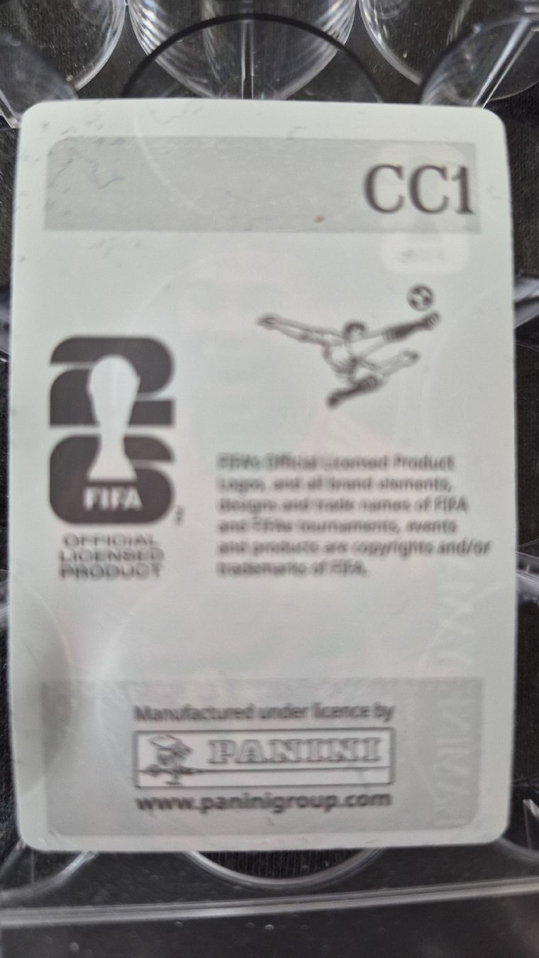Panini Carte collezionabili: Lamine Yamal Panini – Nuovo (secondo la descrizione) da Jona venduto da Rdiaz77 1
