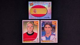 Panini Korea Japan 2002 - Mini lot Espagne