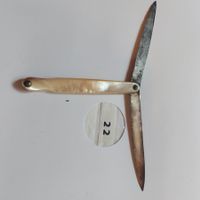 Früchtemesser Nr,22